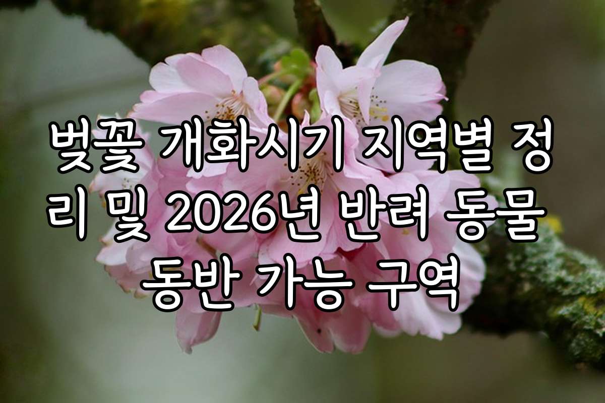 벚꽃 개화시기 지역별 정리 및 2026년 반려 동물 동반 가능 구역