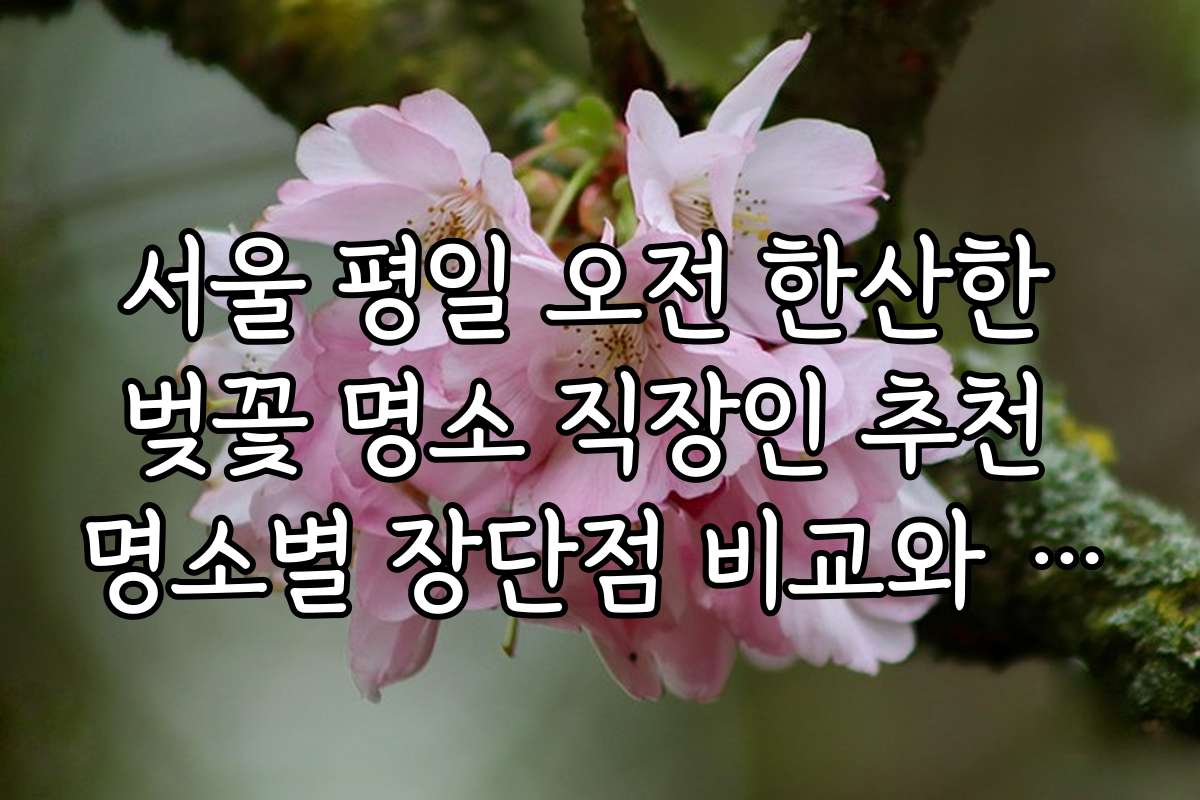 서울 평일 오전 한산한 벚꽃 명소 직장인 추천 명소별 장단점 비교와 선택 포인트