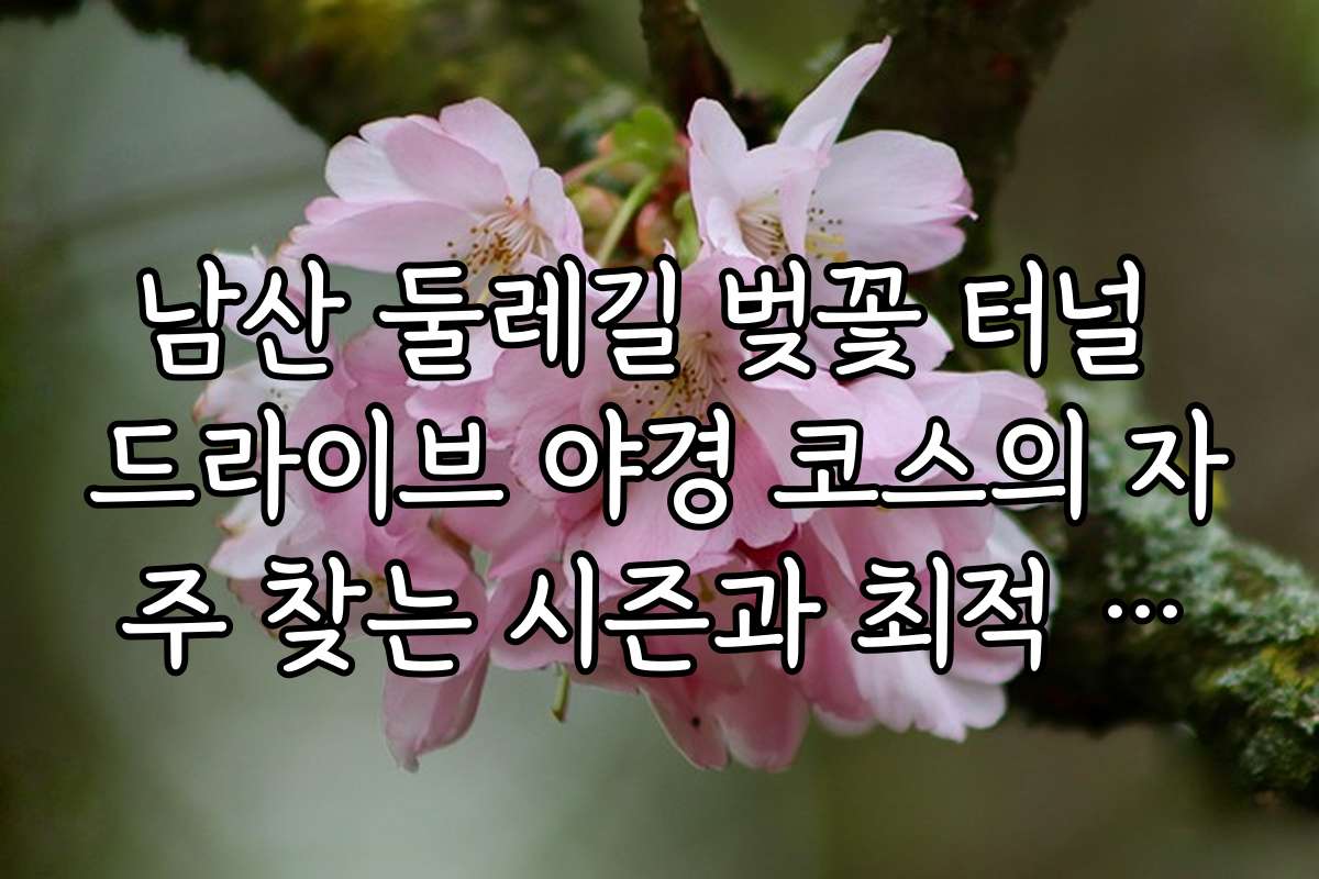 남산 둘레길 벚꽃 터널 드라이브 야경 코스의 자주 찾는 시즌과 최적 일정