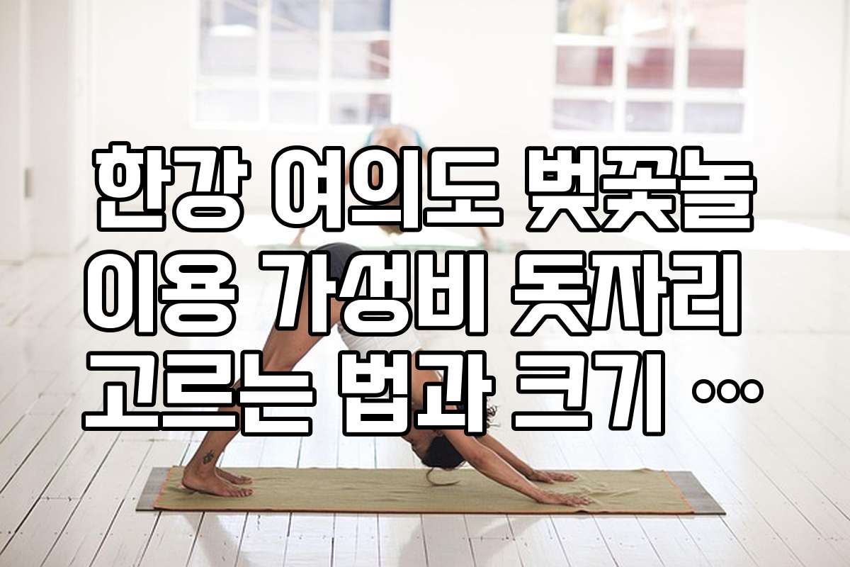 한강 여의도 벚꽃놀이용 가성비 돗자리 고르는 법과 크기 가이드