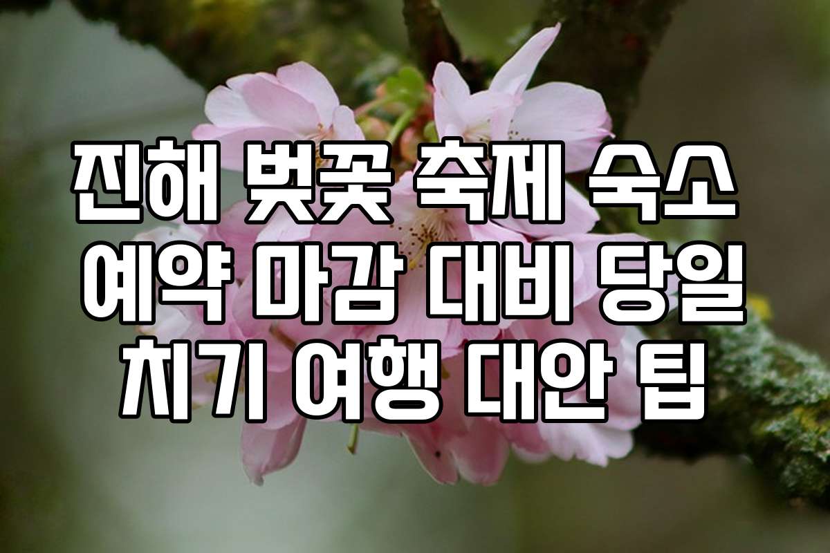진해 벚꽃 축제 숙소 예약 마감 대비 당일치기 여행 대안 팁