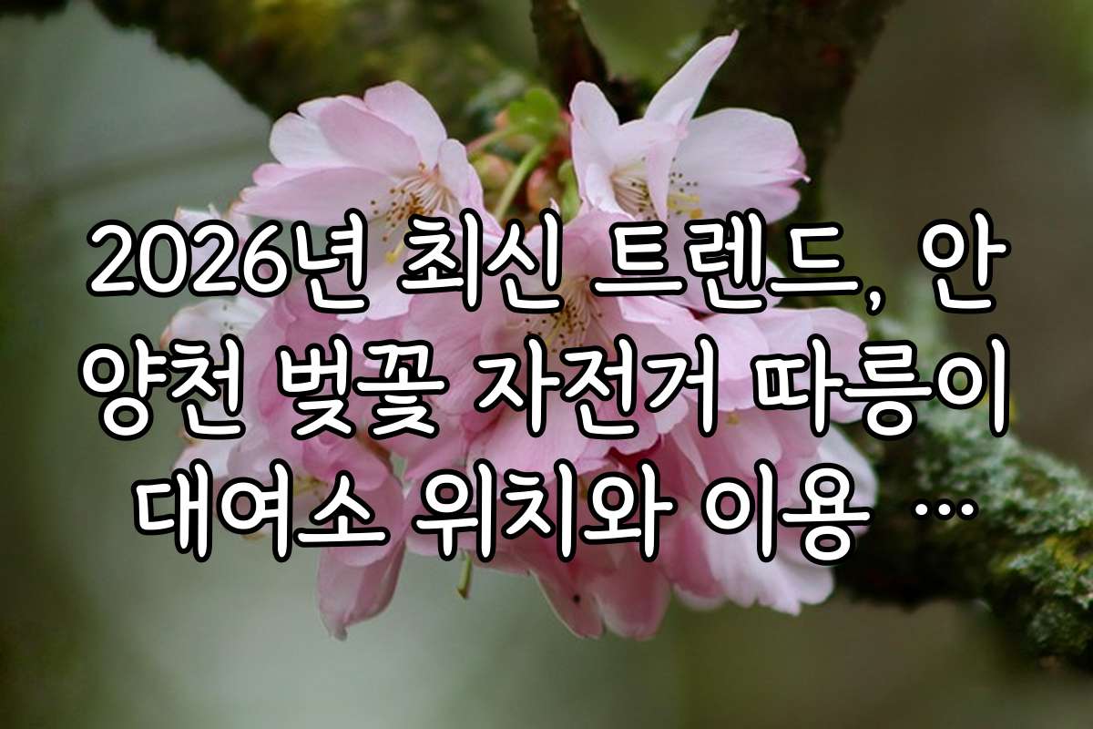 2026년 최신 트렌드, 안양천 벚꽃 자전거 따릉이 대여소 위치와 이용 후기