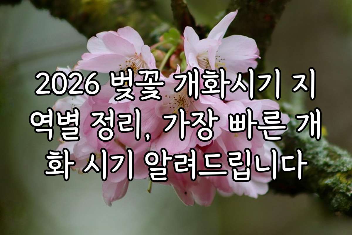 2026 벚꽃 개화시기 지역별 정리, 가장 빠른 개화 시기 알려드립니다