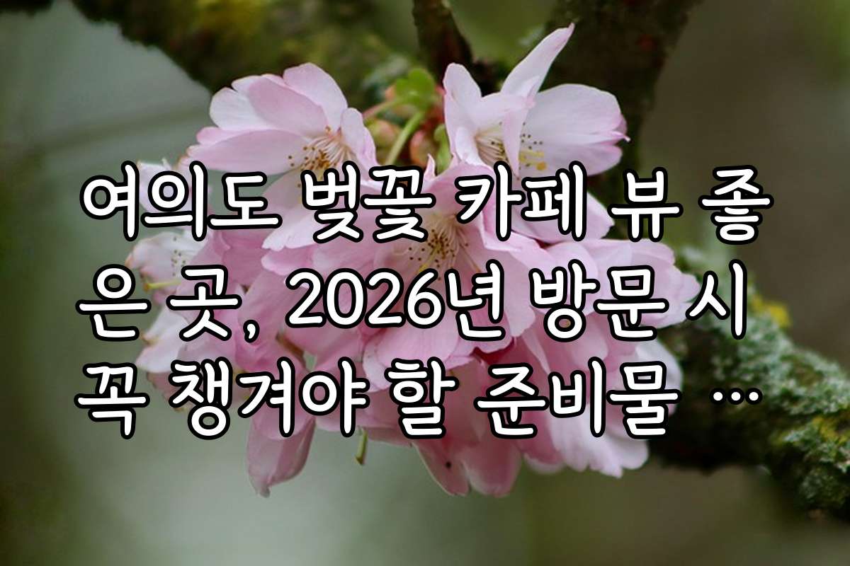 여의도 벚꽃 카페 뷰 좋은 곳, 2026년 방문 시 꼭 챙겨야 할 준비물 리스트