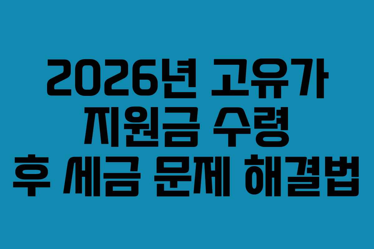 2026년 고유가 지원금 수령 후 세금 문제 해결법