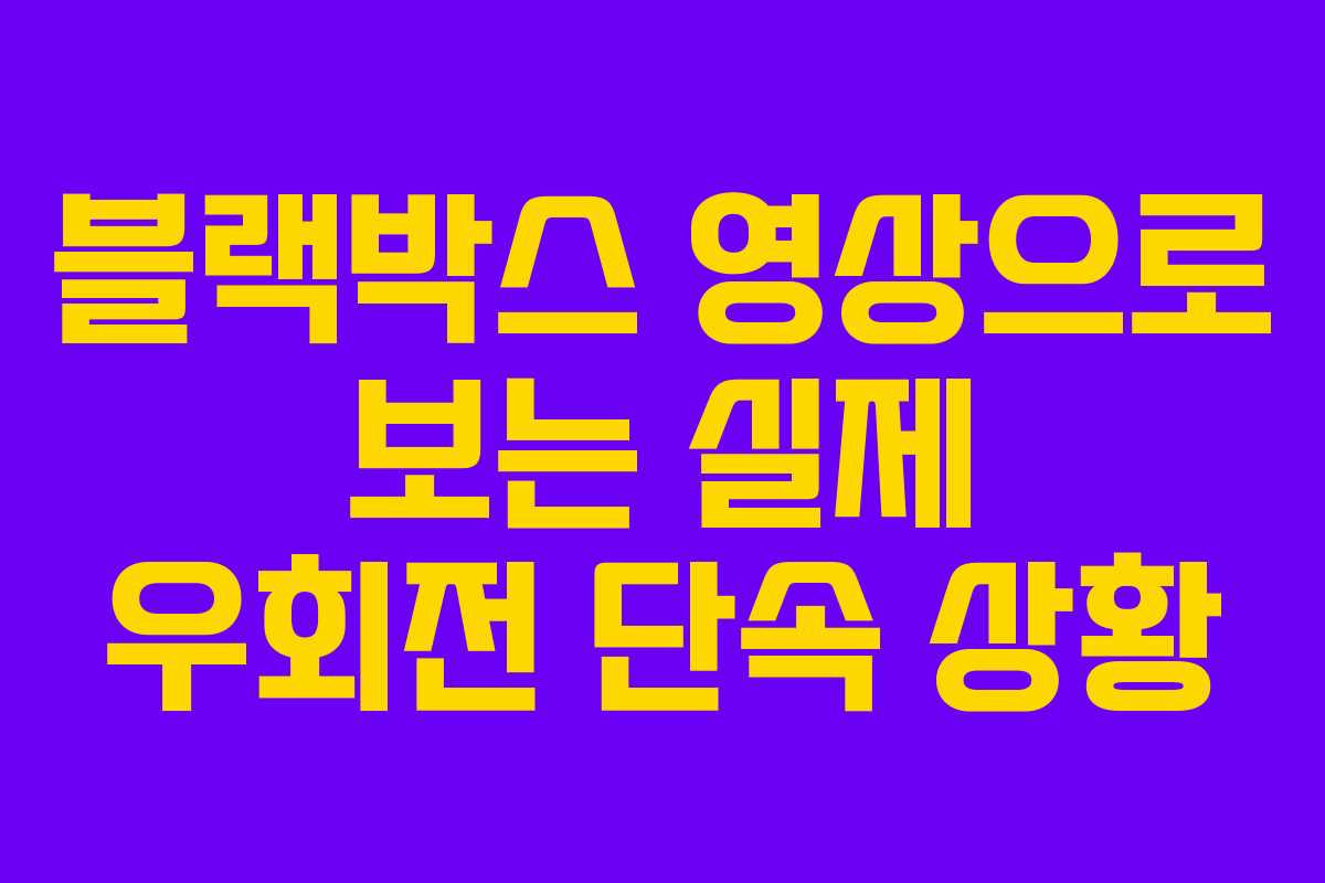 블랙박스 영상으로 보는 실제 우회전 단속 상황