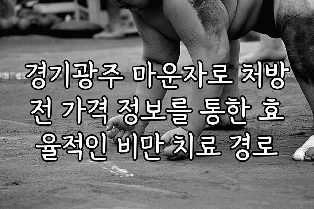 경기광주 마운자로 처방전 가격 정보를 통한 효율적인 비만 치료 경로