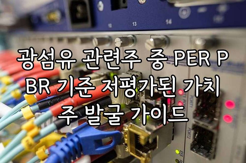 광섬유 관련주 중 PER PBR 기준 저평가된 가치주 발굴 가이드