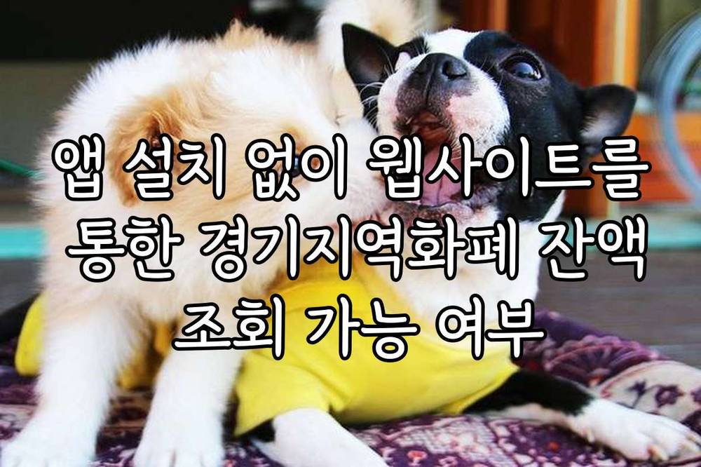 앱 설치 없이 웹사이트를 통한 경기지역화폐 잔액 조회 가능 여부