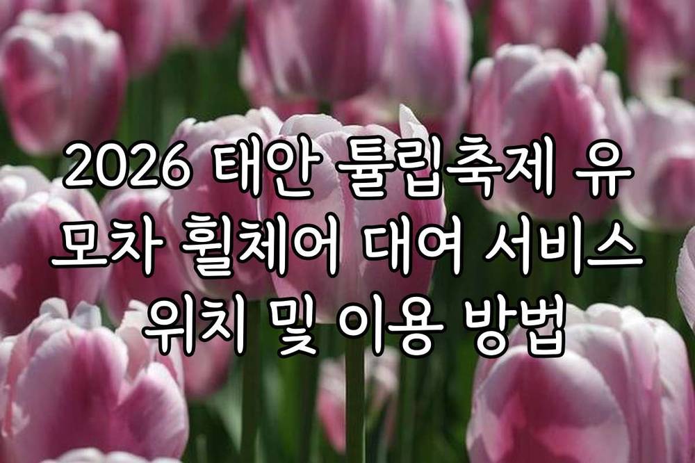 2026 태안 튤립축제 유모차 휠체어 대여 서비스 위치 및 이용 방법