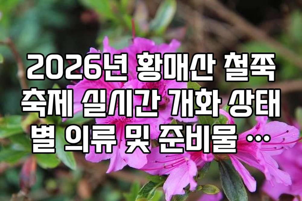 2026년 황매산 철쭉축제 실시간 개화 상태별 의류 및 준비물 가이드