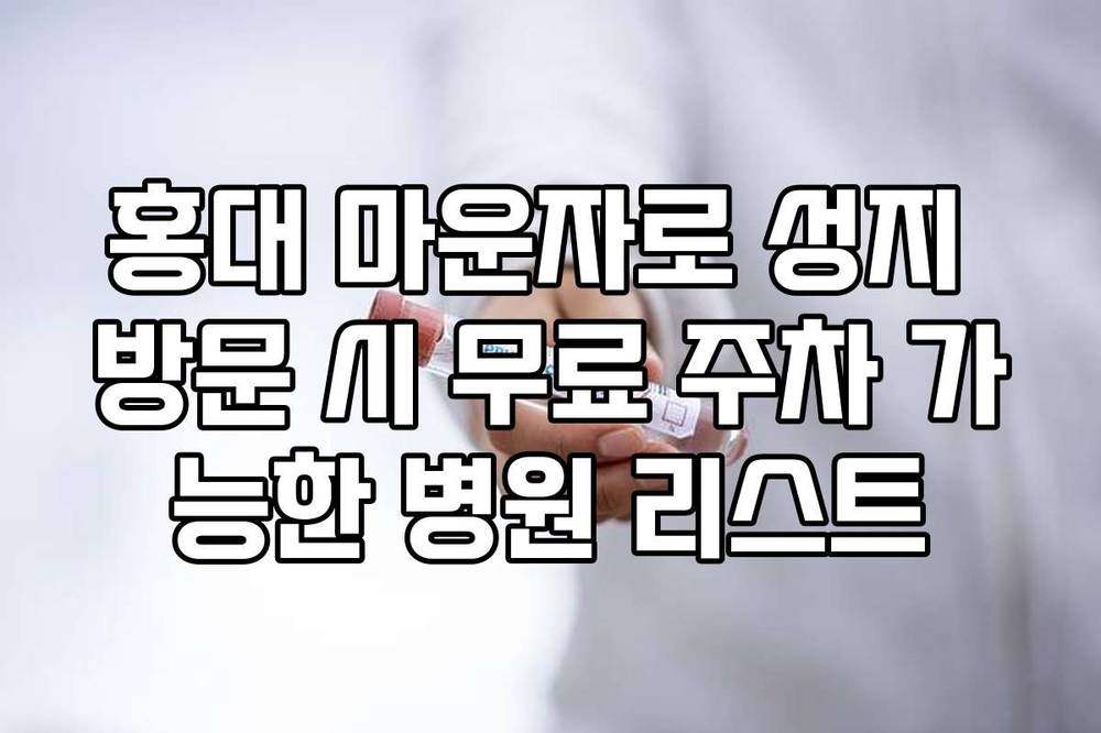 홍대 마운자로 성지 방문 시 무료 주차 가능한 병원 리스트