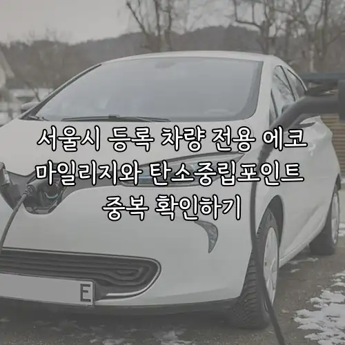 서울시 등록 차량 전용 에코마일리지와 탄소중립포인트 중복 확인하기
