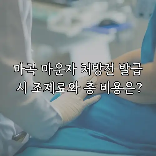 마곡 마운자 처방전 발급 시 조제료와 총 비용은?