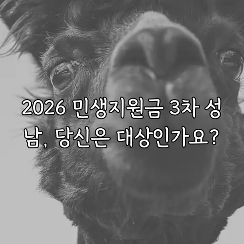 2026 민생지원금 3차 성남, 당신은 대상인가요?