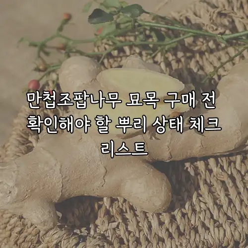 만첩조팝나무 묘목 구매 전 확인해야 할 뿌리 상태 체크리스트