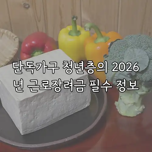 단독가구 청년층의 2026년 근로장려금 필수 정보