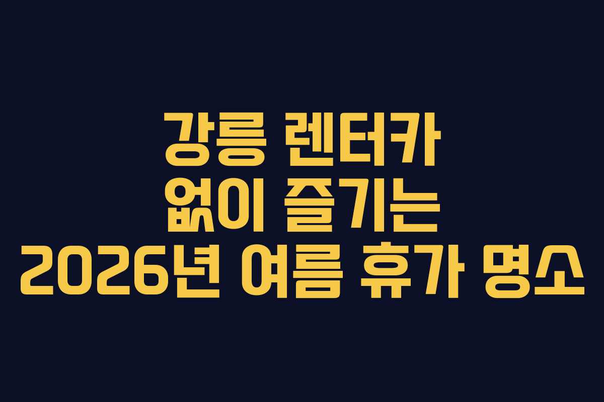 강릉 렌터카 없이 즐기는 2026년 여름 휴가 명소 강릉 렌터카 없이 즐기는 2026년 여름 휴가 명소