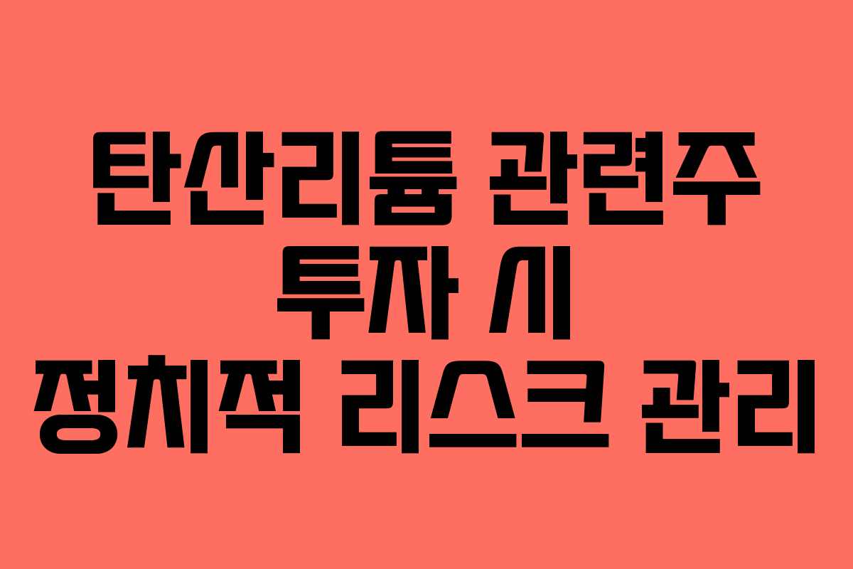 탄산리튬 관련주 투자 시 정치적 리스크 관리