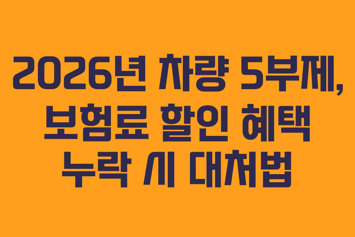 2026년 차량 5부제, 보험료 할인 혜택 누락 시 대처법