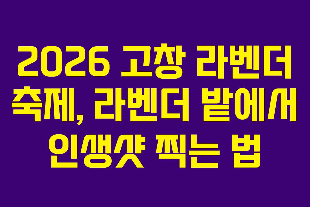 2026 고창 라벤더 축제, 라벤더 밭에서 인생샷 찍는 법