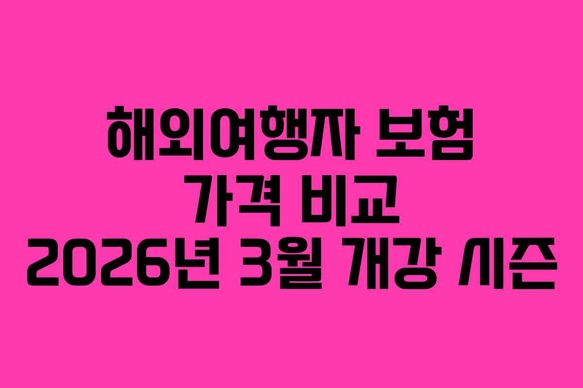 해외여행자 보험 가격 비교 2026년 3월 개강 시즌