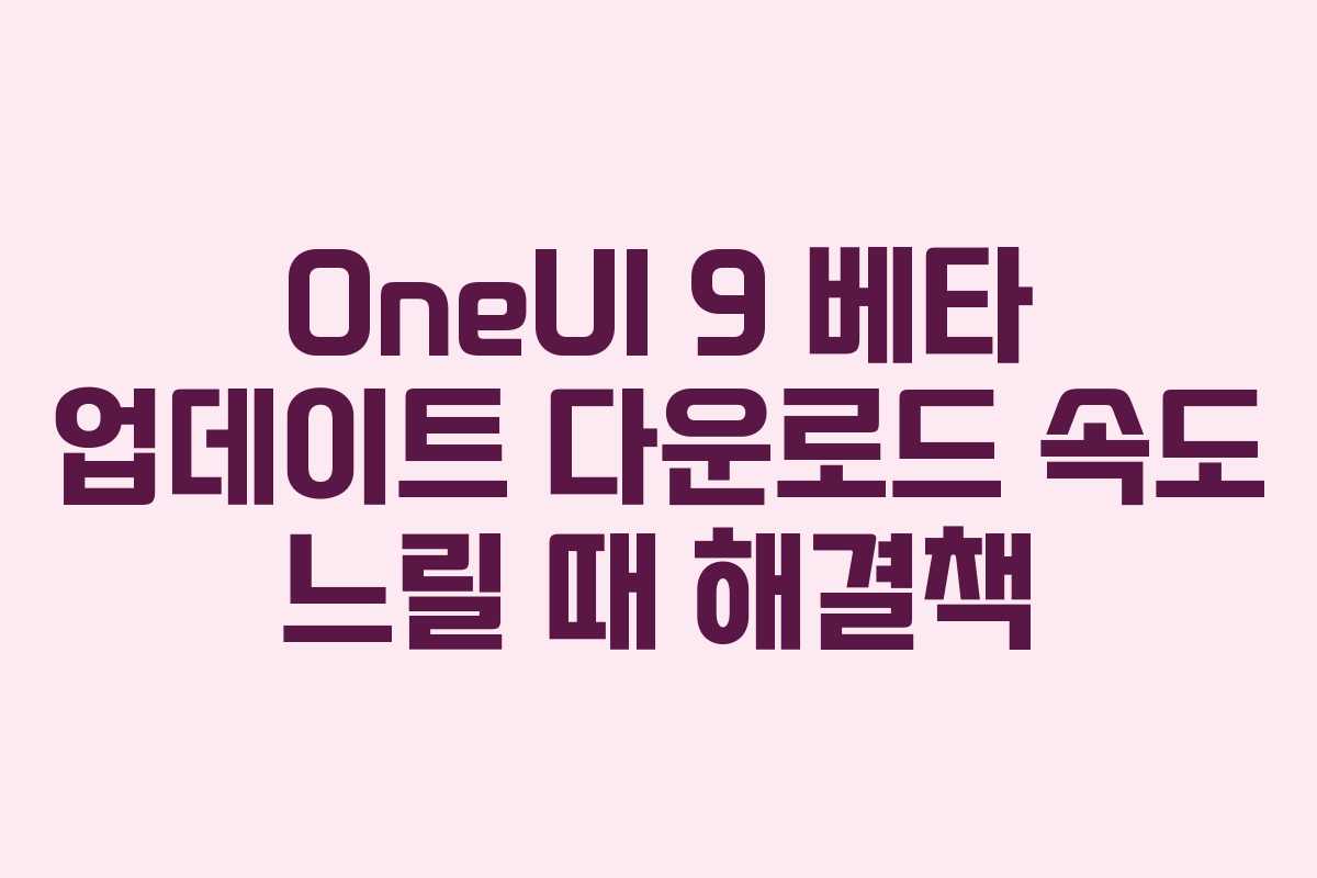 OneUI 9 베타 업데이트 다운로드 속도 느릴 때 해결책